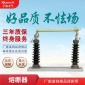 跌落式熔断器rw5-35-200-户外高压跌落式熔断器RW5-35-200A
